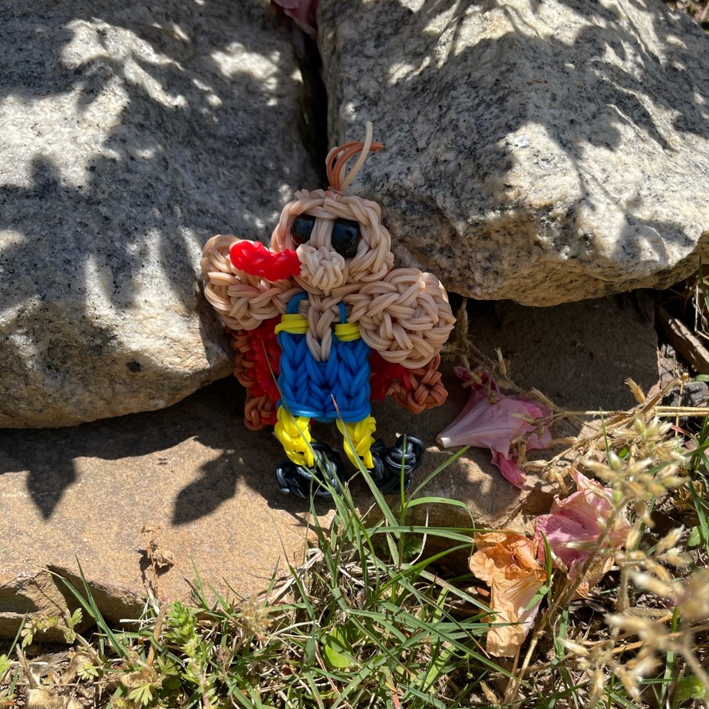rainbowloom 2D human turkey